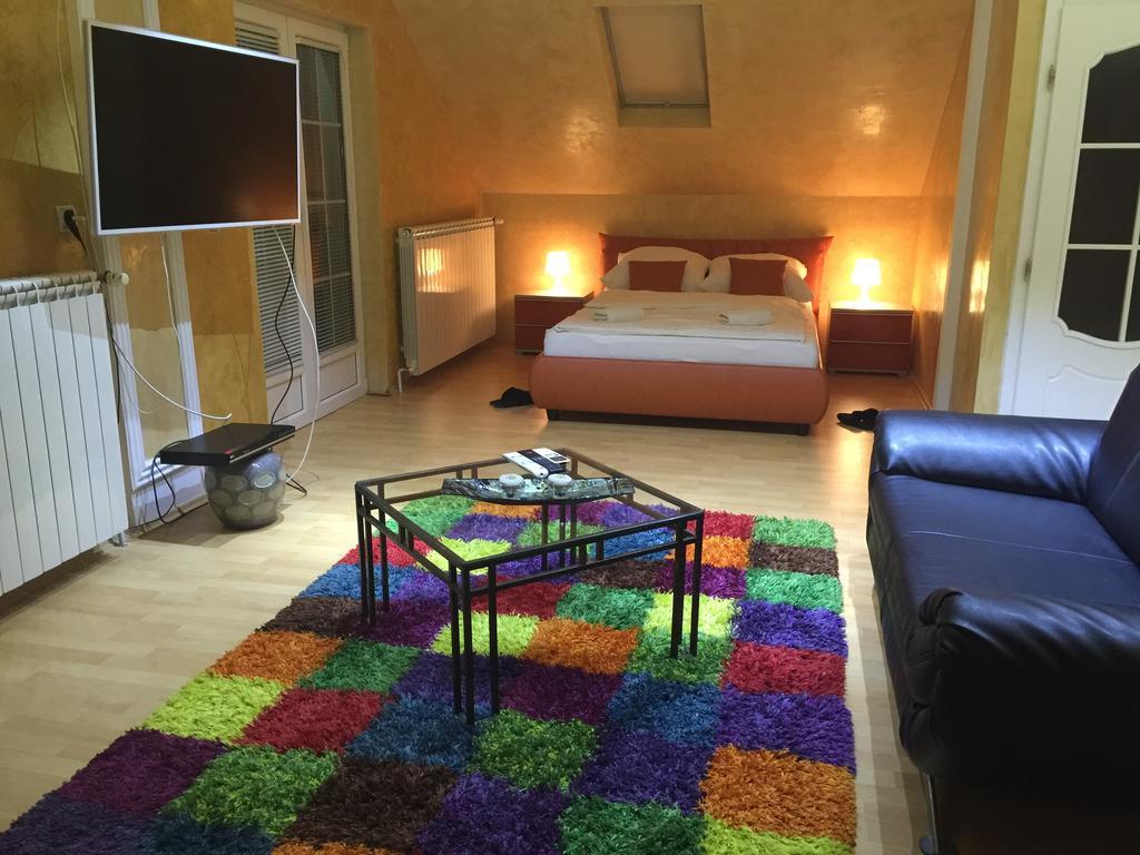 Vila Kristina Negotin Room photo